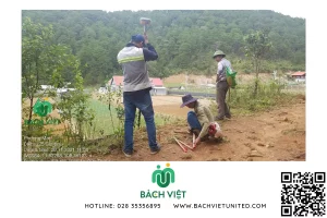 Xác định ranh giới đất và cắm mốc Thủ Đức 6 Ranh giới được xác định bởi cơ quan có thẩm quyền