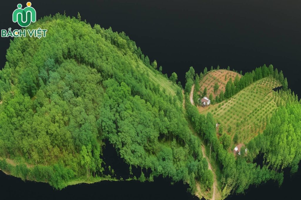 Khảo sát địa hình phục vụ thiết kế Farmstay 2 Mô hình 3D phục vụ thiết kế ý tưởng dự án