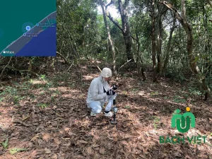 SLAM 3D rừng tìm khoảng trống bố trí công trình