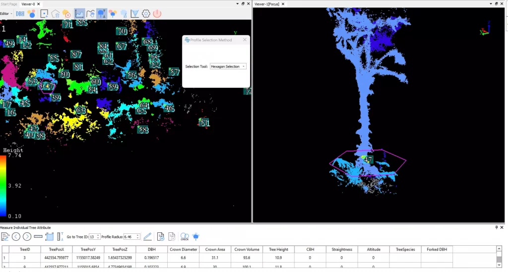 Một cây điển hình sau khi xử lý