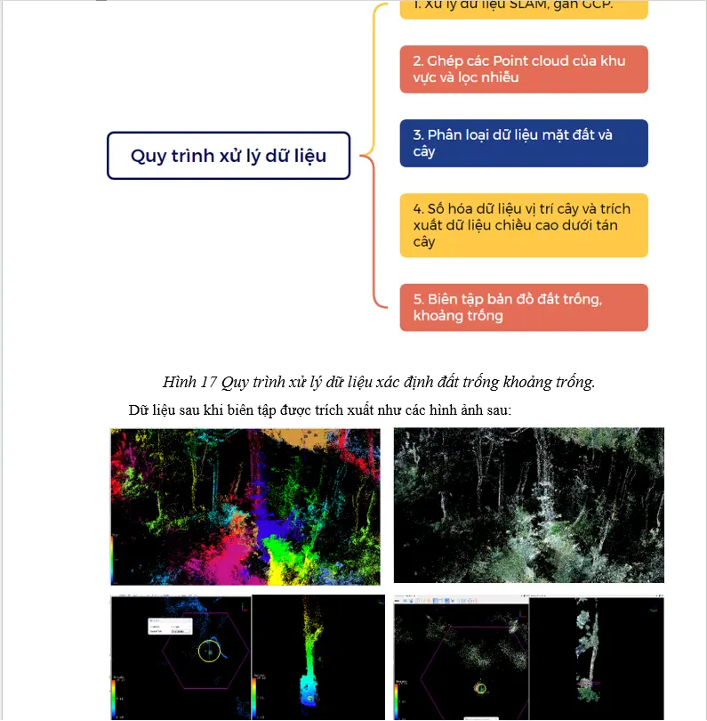 Báo cáo kết quả scan 3D rừng