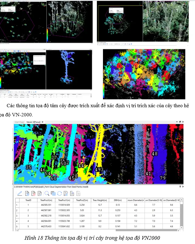 Tọa độ cây rừng và hình minh họa sau khi xử lý