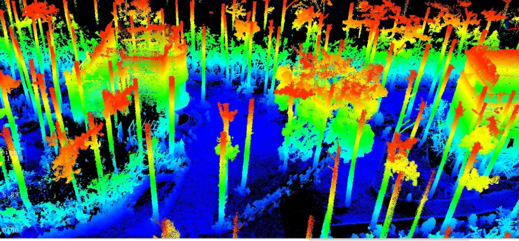 Scan 3D rừng thông phục vụ thi công dự án Omirita 6 Xử lý cây bằng Module Forestry của Lidar360