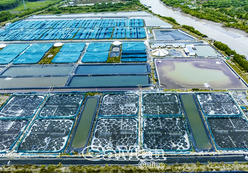 Quy trình đo đạc nhà đất Tân An chuẩn kỹ thuật tại Bách Việt