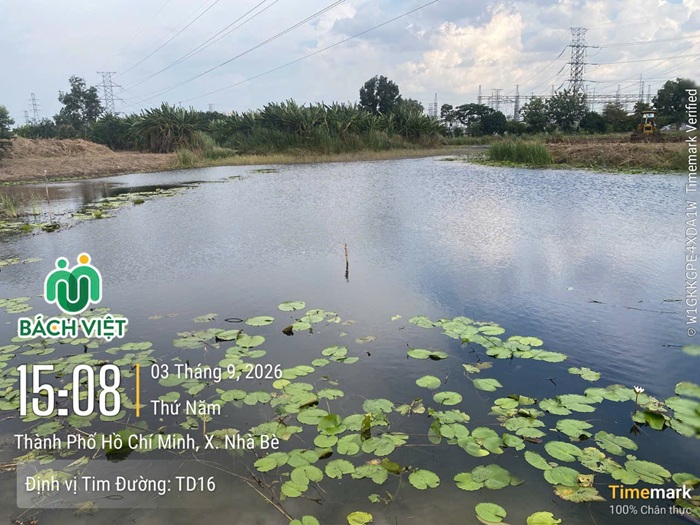 Ao trong phạm vi khảo sát địa hình xã Nhà Bè TP.HCM