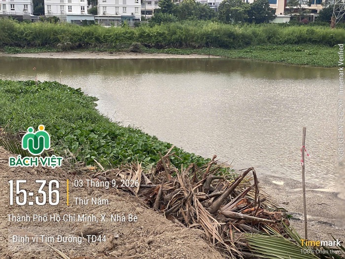Hiện trạng bờ kênh tại khu vực khảo sát địa hình xã Nhà Bè